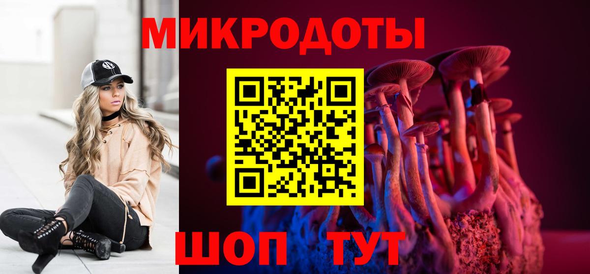 Галлюциногенные грибы GOLDEN TEACHER  Вход с VPN  закладка  Ногинск  Галлюциногенные грибы GOLDEN TEACHER 